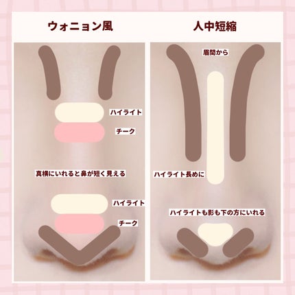 シェーディングパウダー/キャンメイク/シェーディングを使ったクチコミ(6枚目)