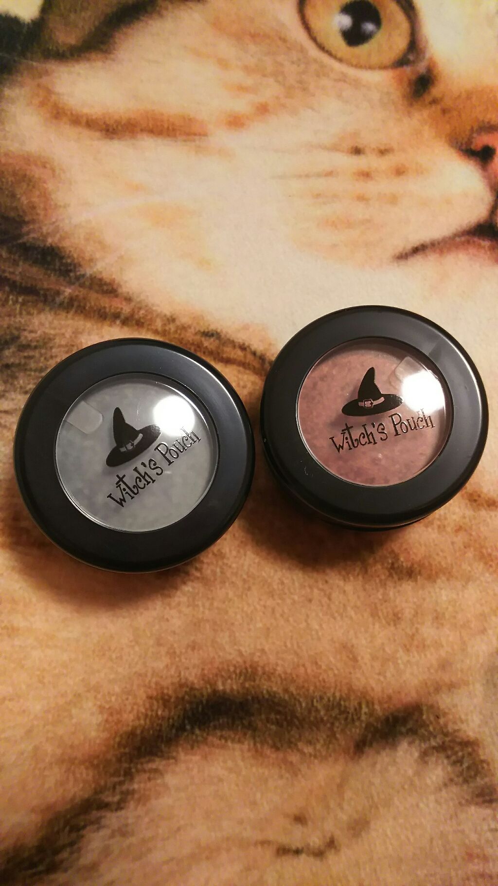 セルフィーフィックスピグメント/Witch's Pouch/単色アイシャドウを使ったクチコミ（1枚目）