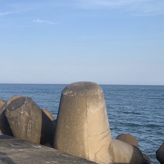 スイドリームス オーデ トワレ /ANNA SUI/香水(レディース)を使ったクチコミ（2枚目）