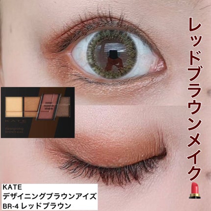 デザイニングブラウンアイズ BR-4 レッドブラウン/KATE/アイシャドウパレットを使ったクチコミ(1枚目)