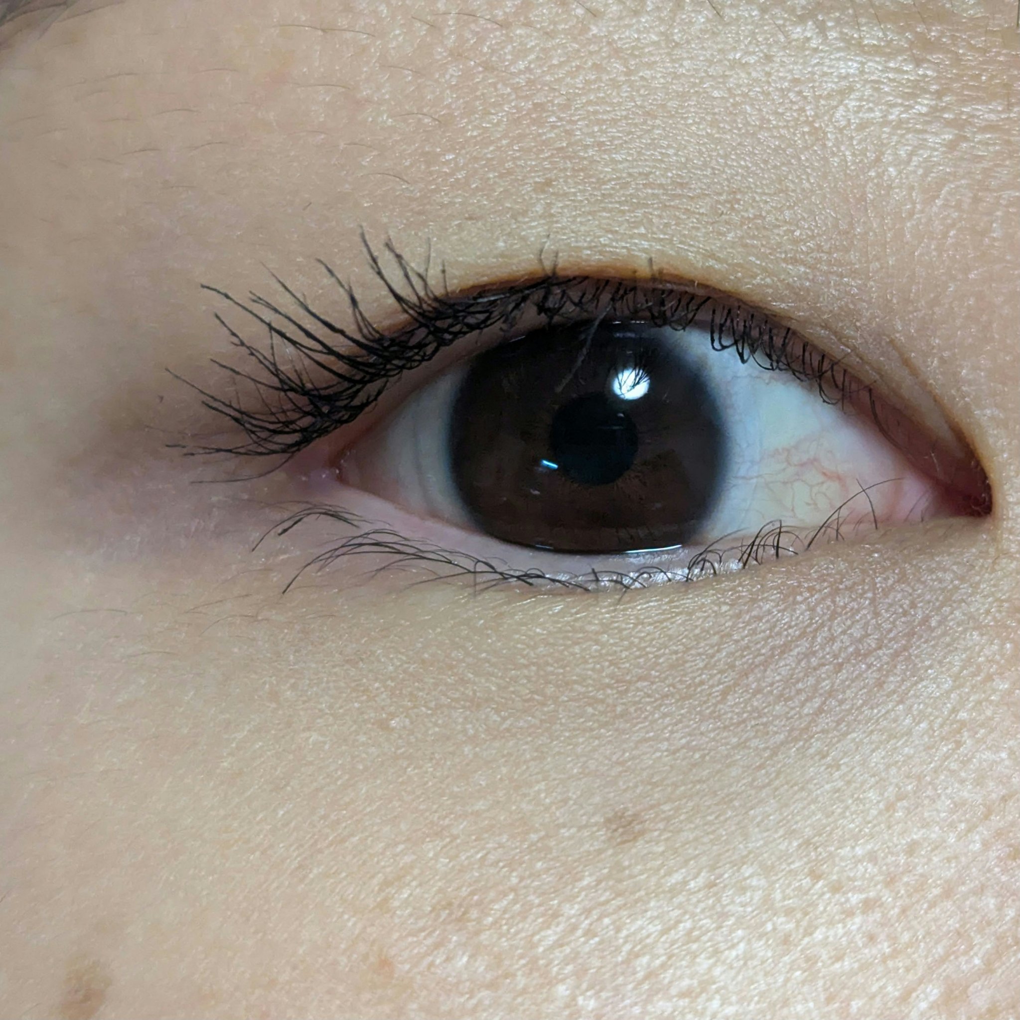 ムードアップマスカラ ロング&amp;カール/dasique/マスカラを使ったクチコミ（3枚目）