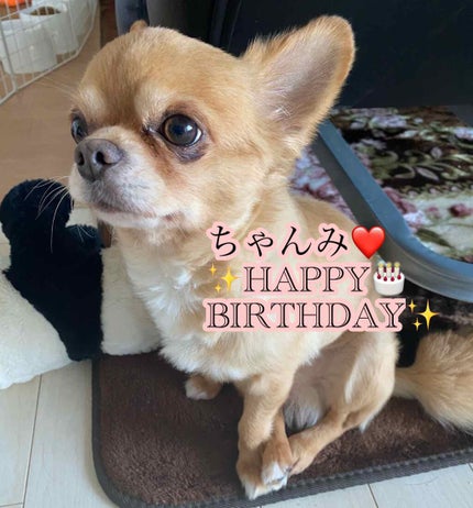 シルキースフレアイズ/キャンメイク/アイシャドウパレットを使ったクチコミ(5枚目)