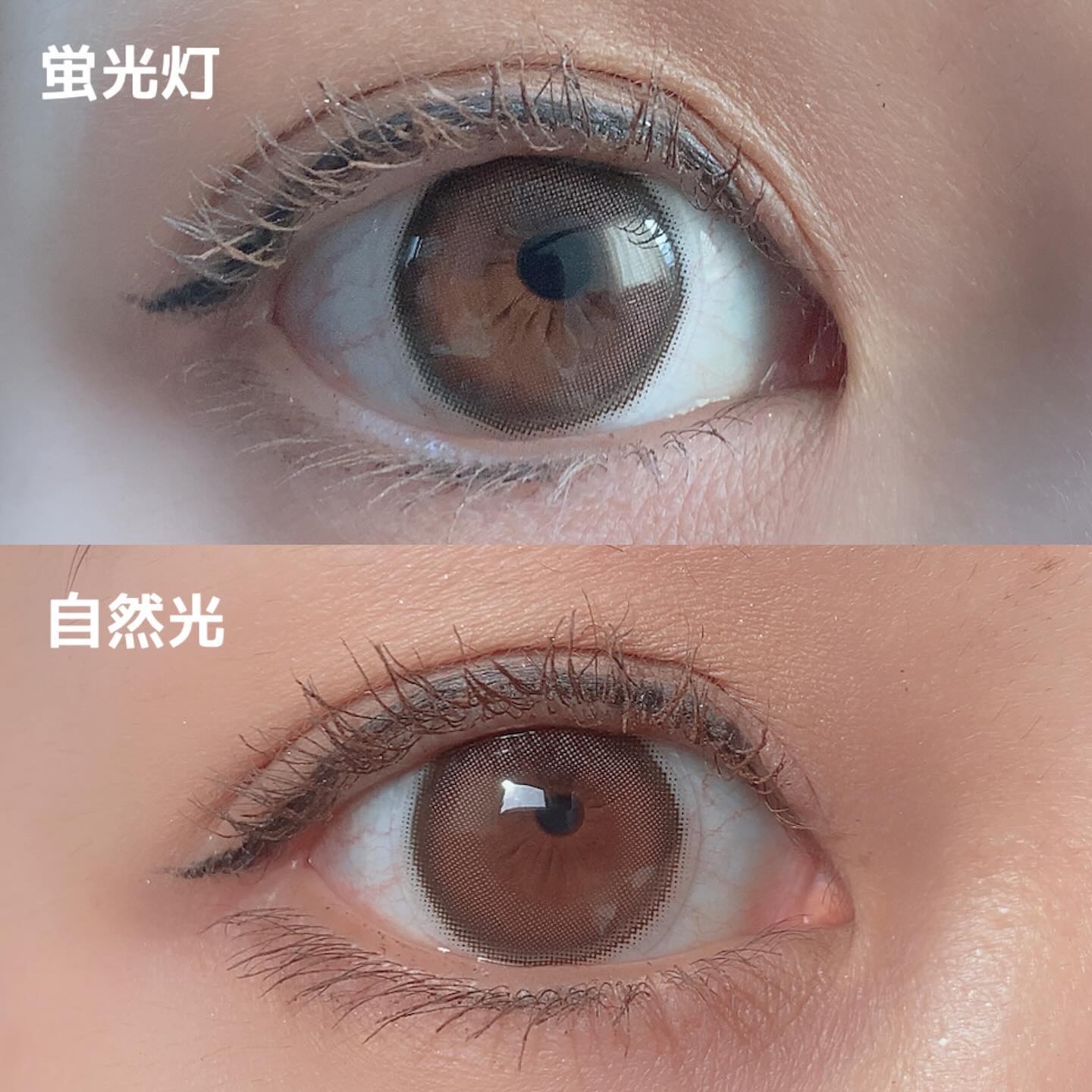 メイシリーズ/LENSSIS/１ヶ月（１MONTH）カラコンを使ったクチコミ（2枚目）