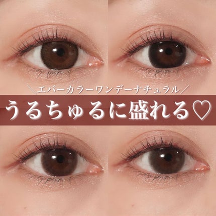 エバーカラーワンデー ナチュラル/エバーカラー/ワンデー(1DAY)カラコンを使ったクチコミ(1枚目)