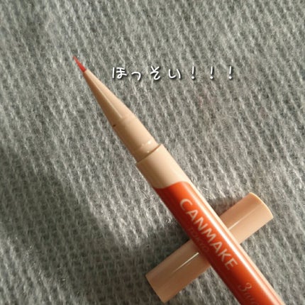 3wayスリムアイルージュライナー/キャンメイク/リキッドアイライナーを使ったクチコミ(3枚目)