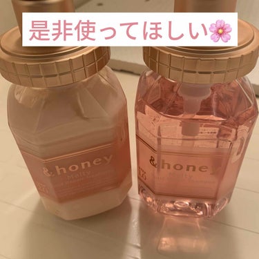 &honey Melty モイストリペア シャンプー1.0／モイストリペア ヘアトリートメント2.0/&honey/シャンプー・コンディショナーを使ったクチコミ（1枚目）