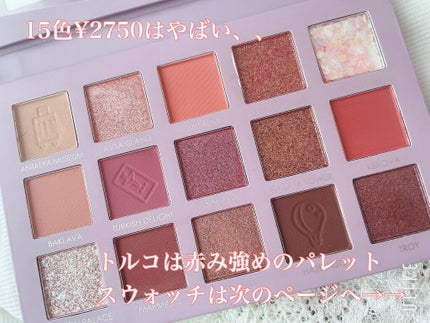 GO TRAVEL 15色アイシャドウパレット/FOCALLURE/アイシャドウパレットを使ったクチコミ(2枚目)