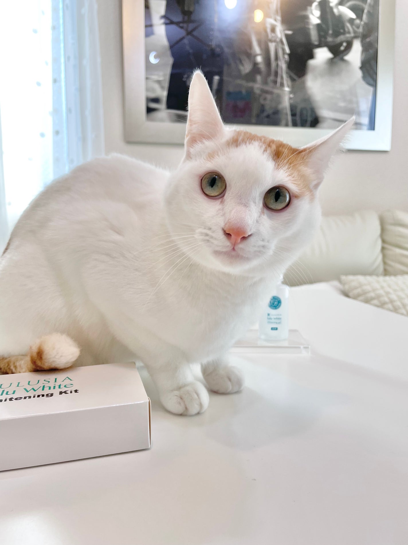 ルルホワイト/ルルシア/その他オーラルケアを使ったクチコミ(3枚目)