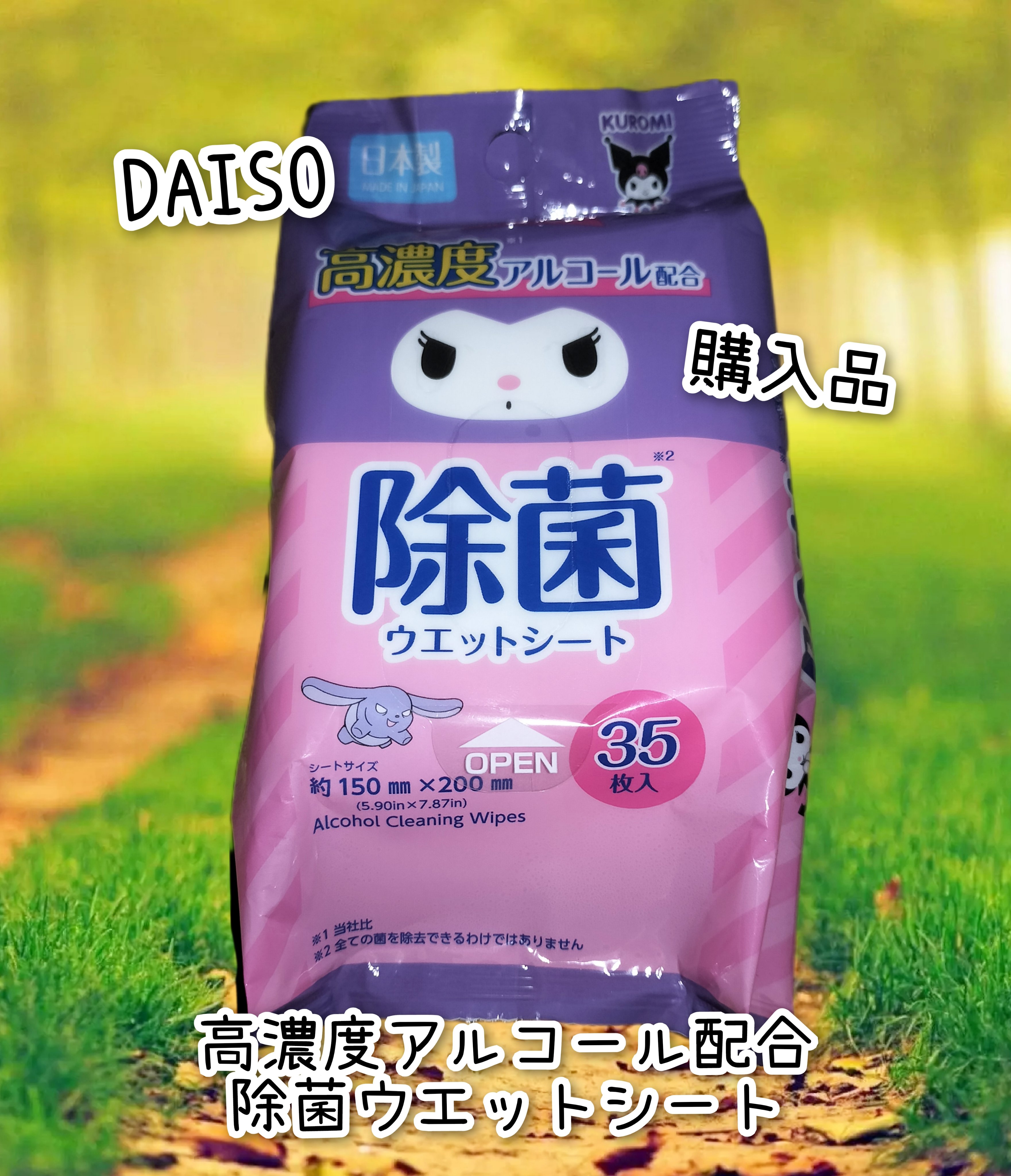 高濃度アルコール配合除菌ウエットティッシュ/DAISO/その他を使ったクチコミ（1枚目）