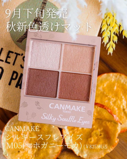 シルキースフレアイズ(マットタイプ)/キャンメイク/アイシャドウパレットを使ったクチコミ(2枚目)