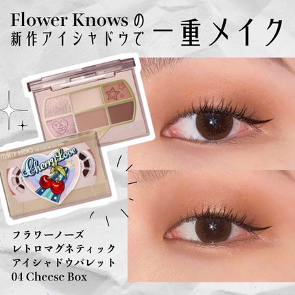 レトロマグネティック アイシャドウパレット/FlowerKnows/アイシャドウパレットを使ったクチコミ(1枚目)