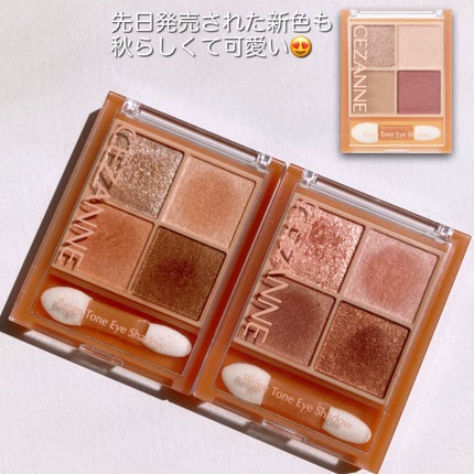 ベージュトーンアイシャドウ/CEZANNE/アイシャドウパレットを使ったクチコミ(4枚目)