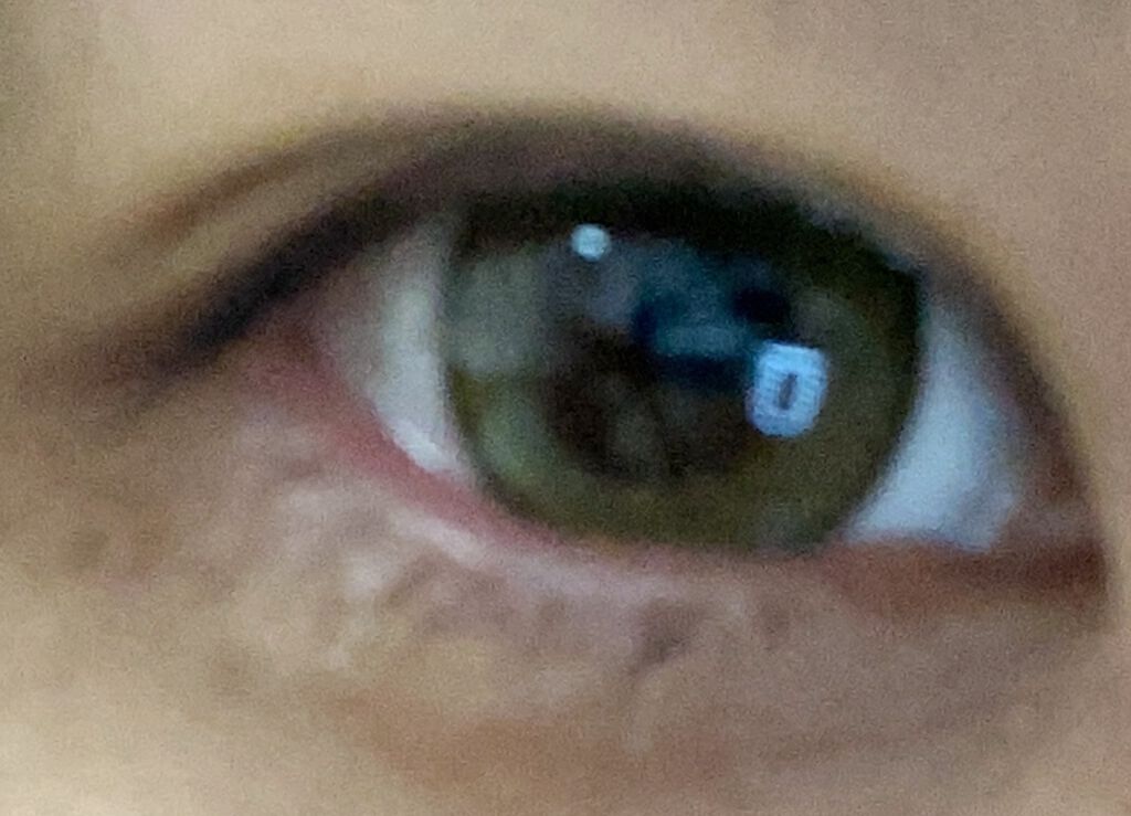 BeeHeartB 1day/BeeHeartB/ワンデー（１DAY）カラコンを使ったクチコミ（2枚目）