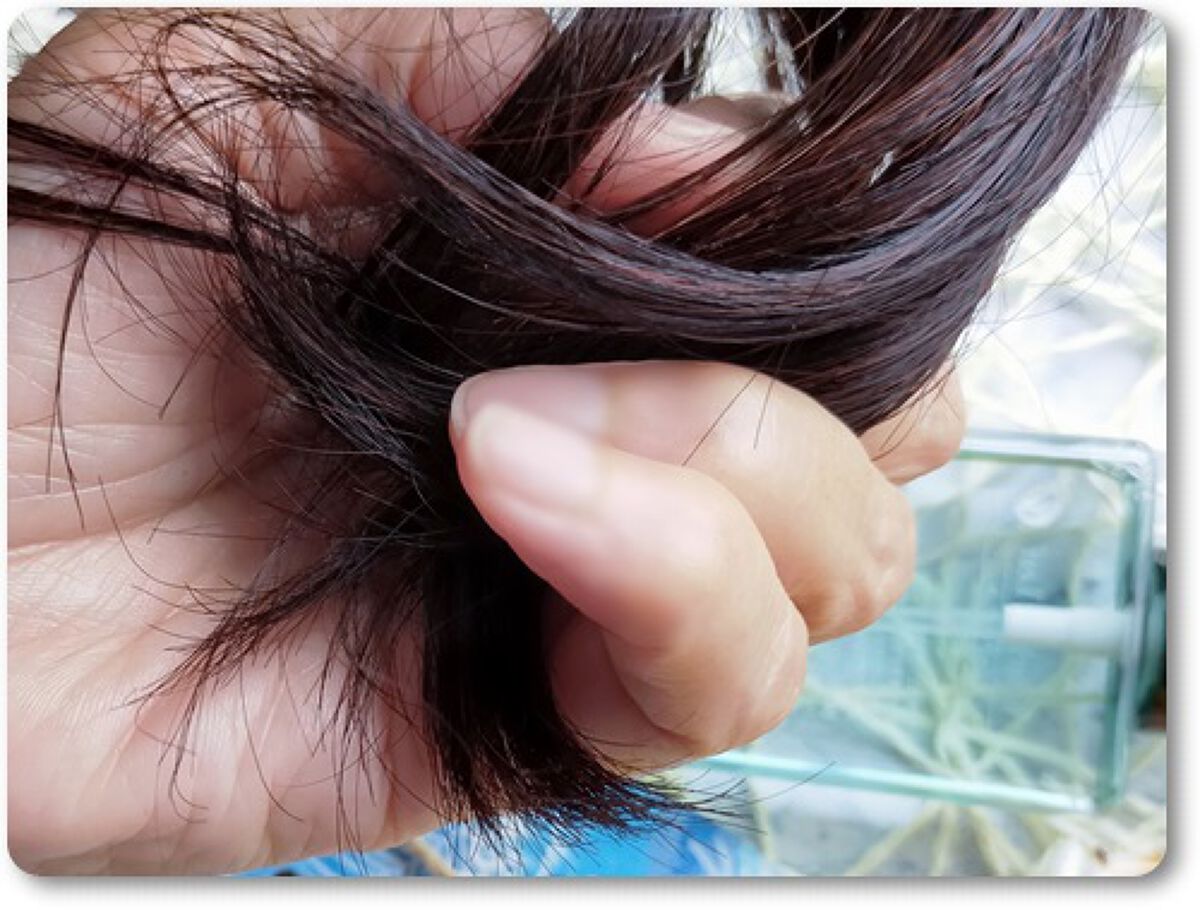 オーガニックヘアオイル クリアサボンの香り/ハーバルリーフ/アウトバストリートメントを使ったクチコミ（2枚目）