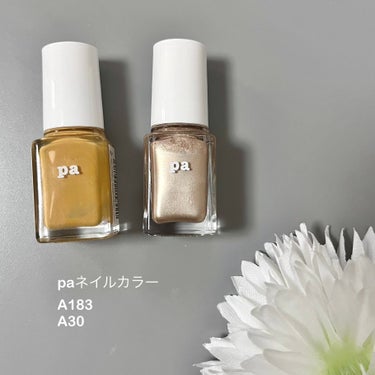 pa ネイルカラー A183/pa nail collective/マニキュアを使ったクチコミ（2枚目）