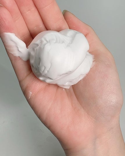 ディズム クリーミーフォームウォッシュ/DISM/泡洗顔を使ったクチコミ(4枚目)