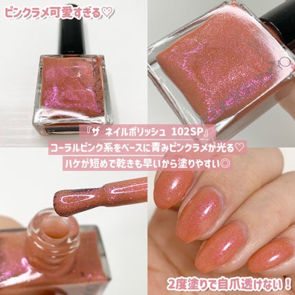 ホリデー アディクション サイレント ウィッシュⅡ /ADDICTION/メイクアップキットを使ったクチコミ(4枚目)