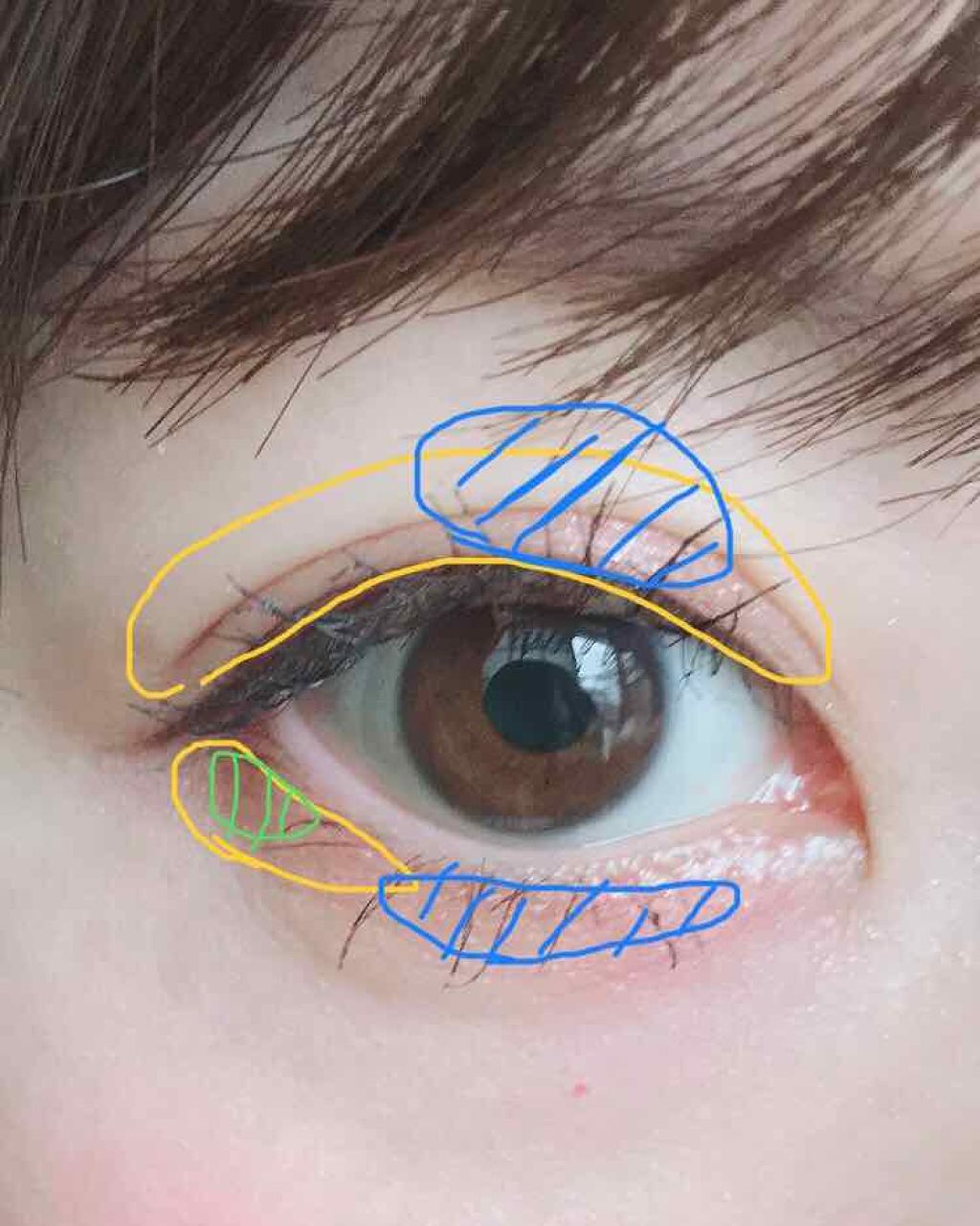 3CE マルチアイカラーパレット/3CE/アイシャドウパレットを使ったクチコミ（2枚目）