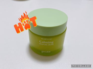 goodalCALMING moistureCream


乾燥肌さんにおすすめアイテムです❤️‍🔥❤️‍🔥


オススメ度★6です！



水分クリームっぽいのに保湿力が高く、
量を調節すればベタベタ