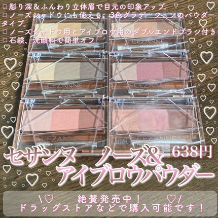 ノーズ&アイブロウパウダー/CEZANNE/パウダーアイブロウを使ったクチコミ(2枚目)