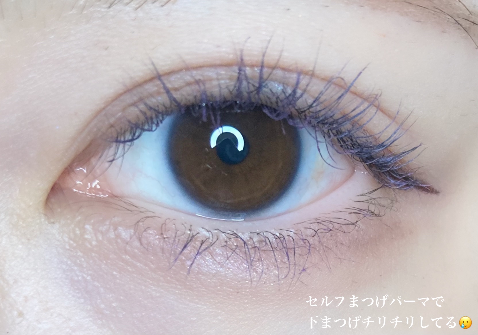 ハンオールフィックスマスカラ L05 ロングバイン(LONG VINE)(日本限定)/rom&nd/マスカラを使ったクチコミ（2枚目）