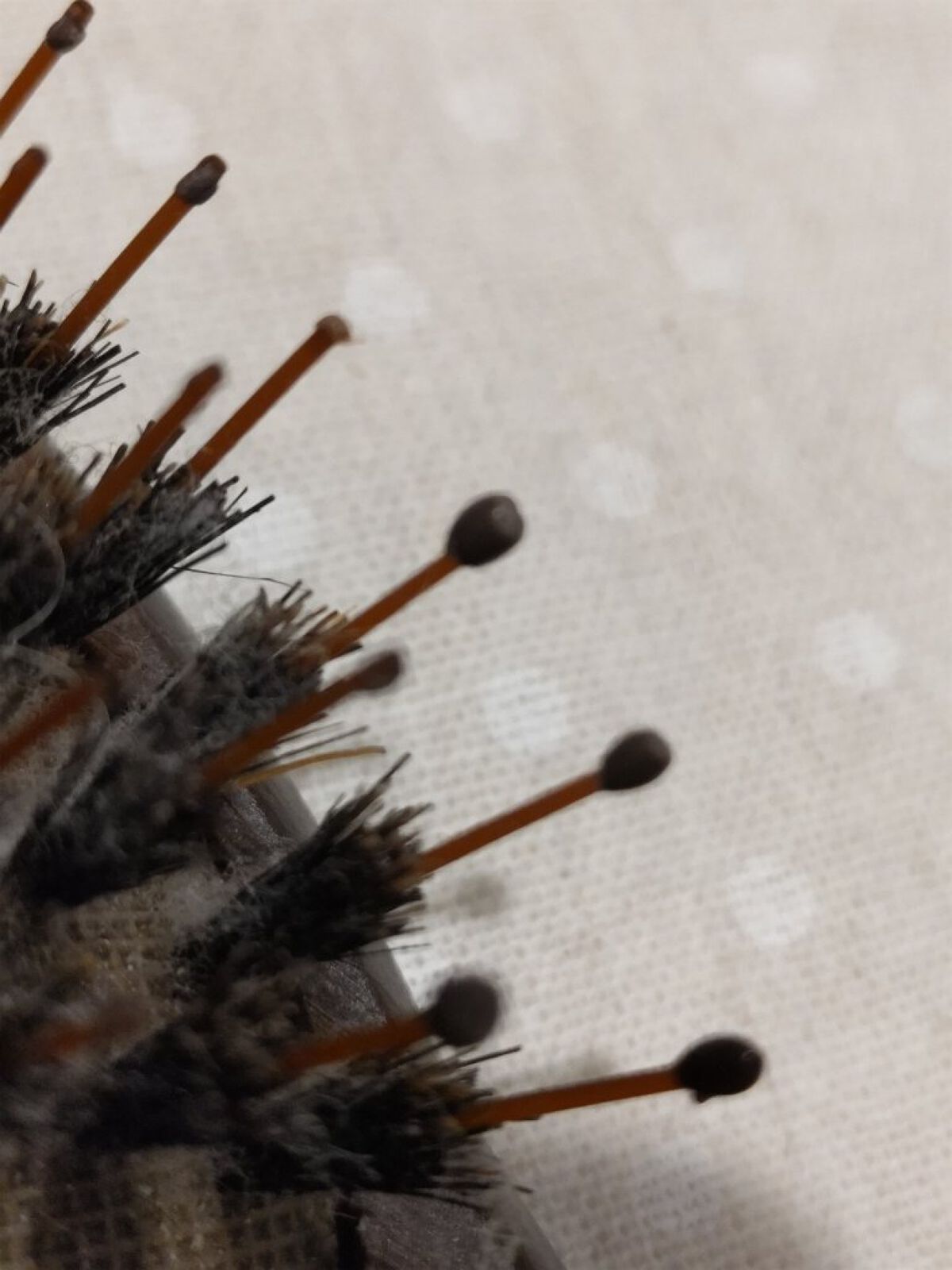 コンボパドルブラシ コンボパドルブラシ/john masters organics/ヘアブラシを使ったクチコミ（3枚目）