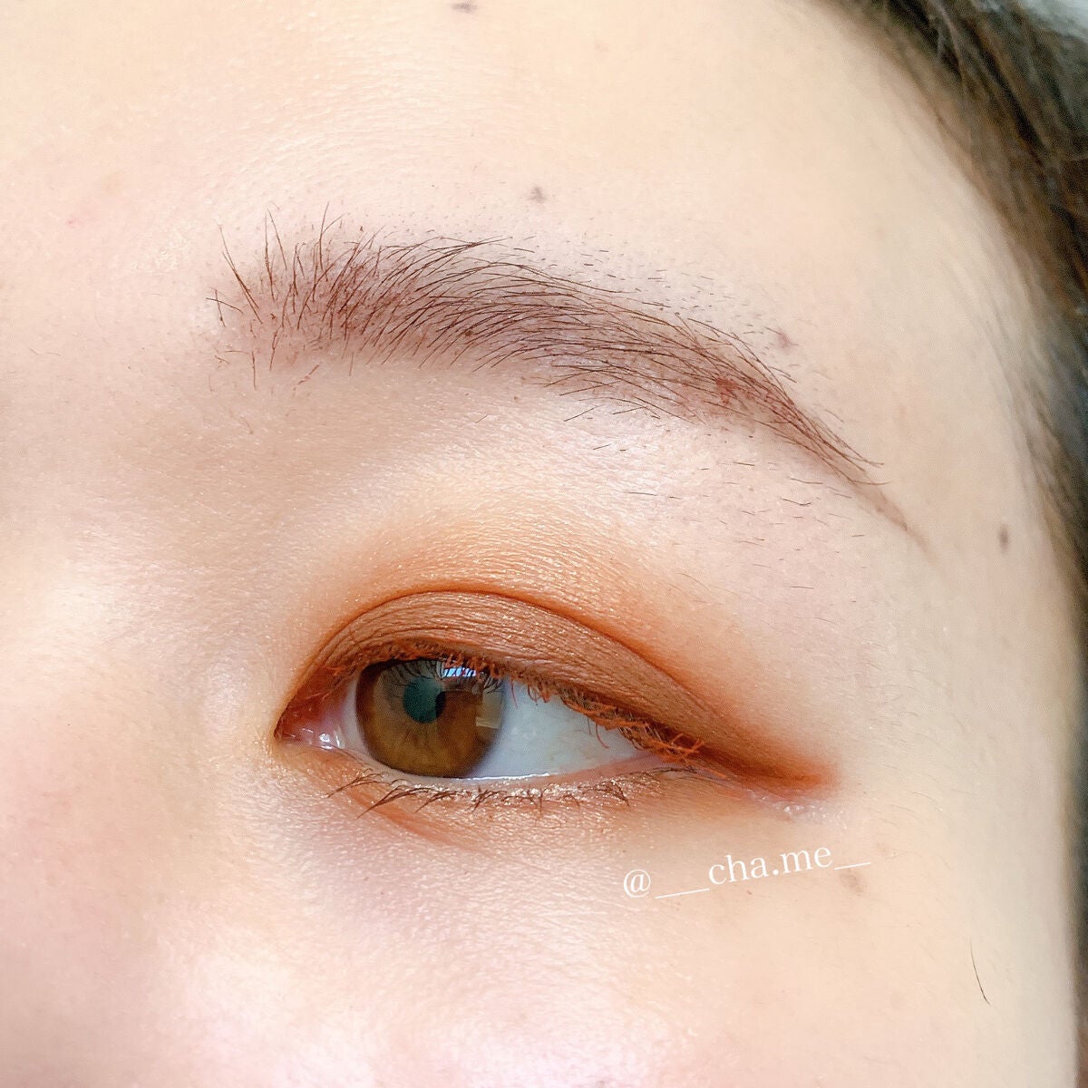 レイヤードカラーズアイシャドウ/KANEBO/アイシャドウパレットを使ったクチコミ(3枚目)