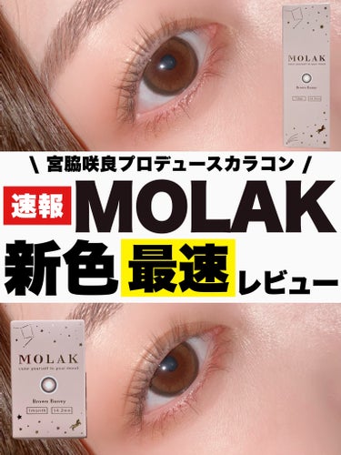 速報！本日発売！宮脇咲良カラコンMOLAKに新色ミルクチョコカラーが仲間入り♡

MOLAK
MOLAK 1day
MOLAK 1month
ブラウンバニー
のご紹介です！



3月15日11時より情