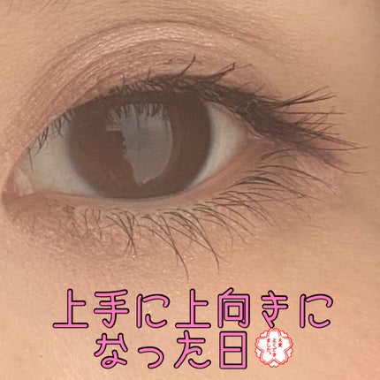 ラッシュエキスパンダー ロングロングロング/MAJOLICA MAJORCA/マスカラを使ったクチコミ(5枚目)