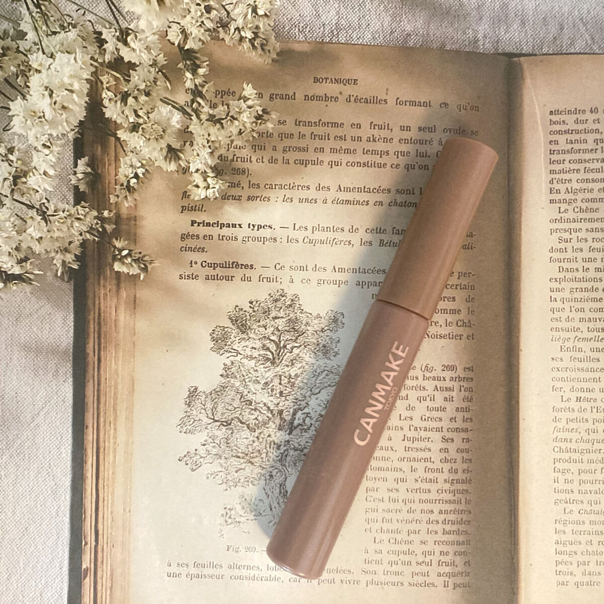 クイックラッシュカーラー/キャンメイク/マスカラ下地を使ったクチコミ（2枚目）