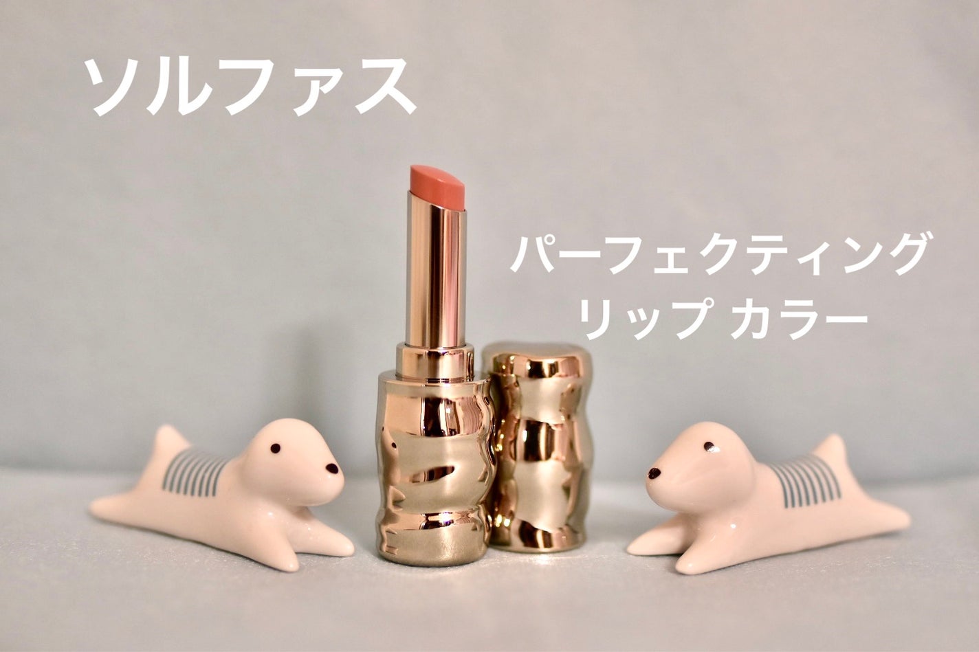 パーフェクティングリップカラー/Sulwhasoo/口紅を使ったクチコミ(1枚目)