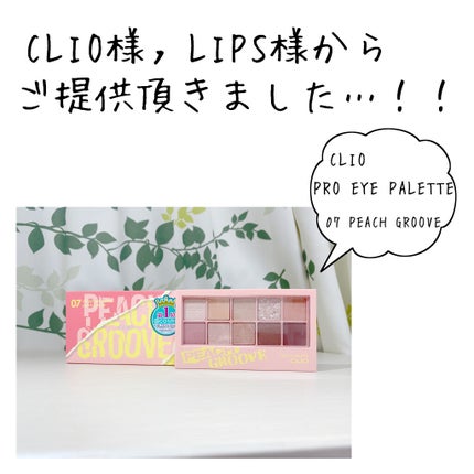 プロ アイ パレット/CLIO/アイシャドウパレットを使ったクチコミ(1枚目)