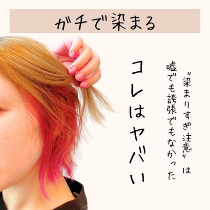 tottimo!ディップカラー/アイケイ/ヘアカラーを使ったクチコミ(2枚目)