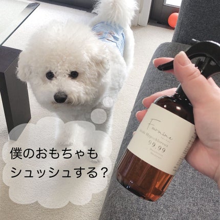を使ったクチコミ(3枚目)