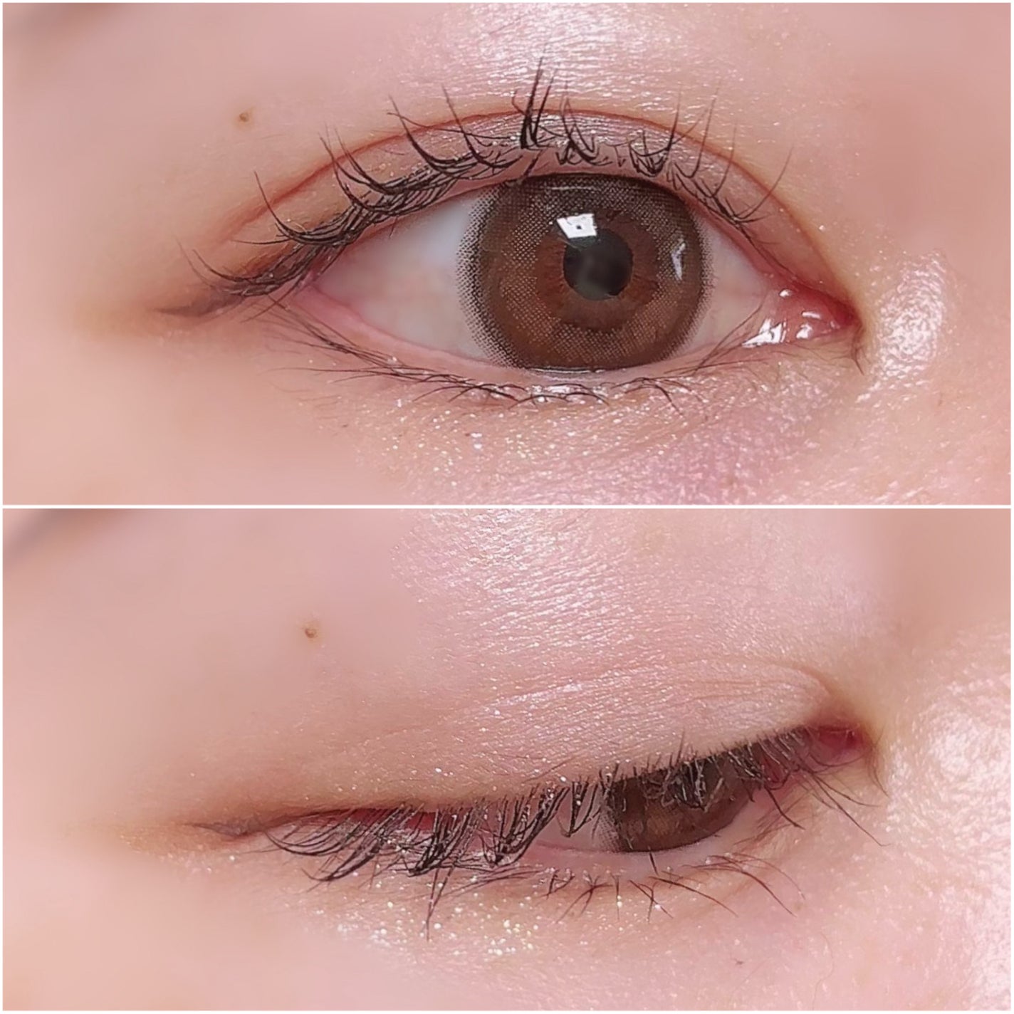 フェイスカラーパレット/チャコット・コスメティクス/アイシャドウパレットを使ったクチコミ(4枚目)