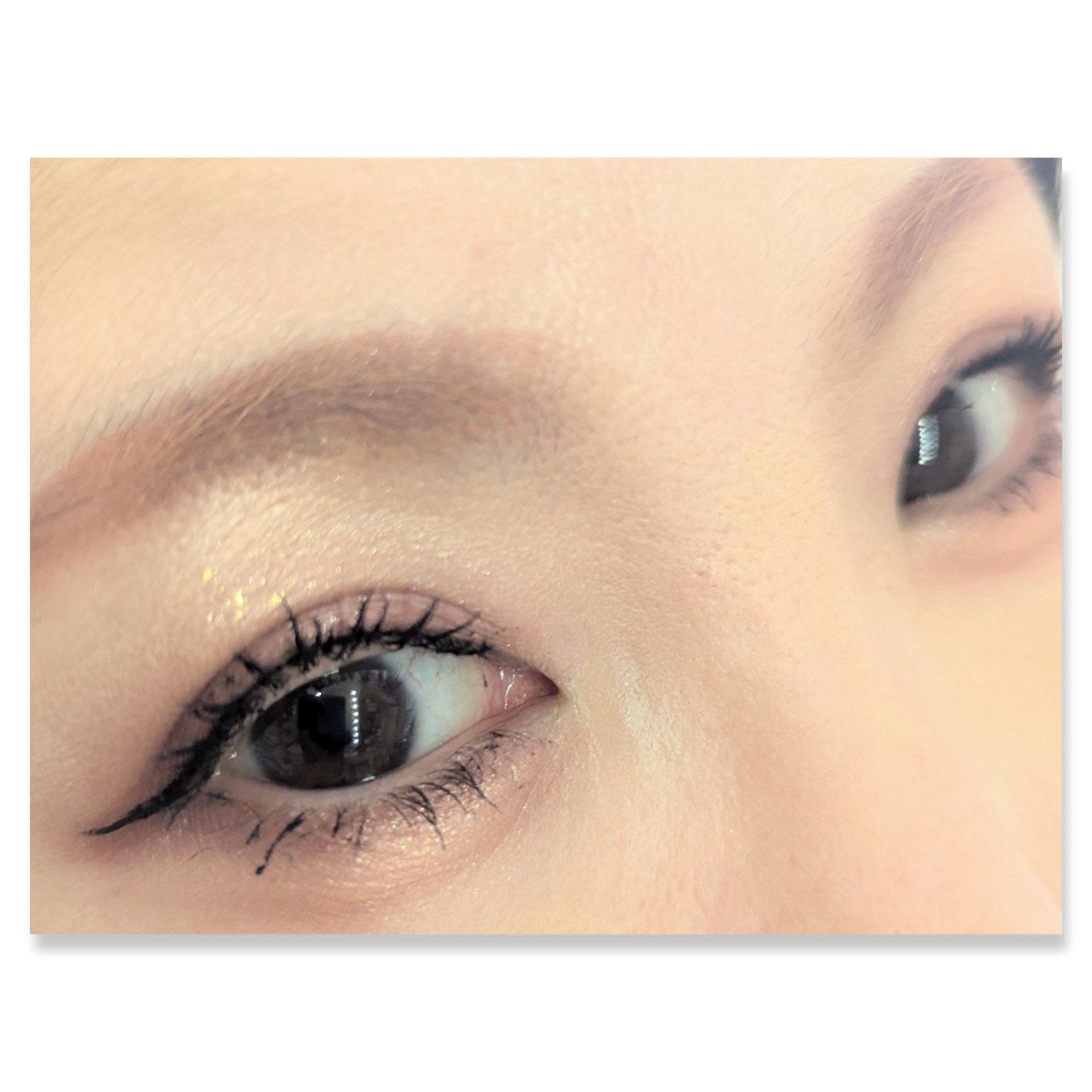 デザイニングブラウンアイズ/KATE/アイシャドウパレットを使ったクチコミ（2枚目）