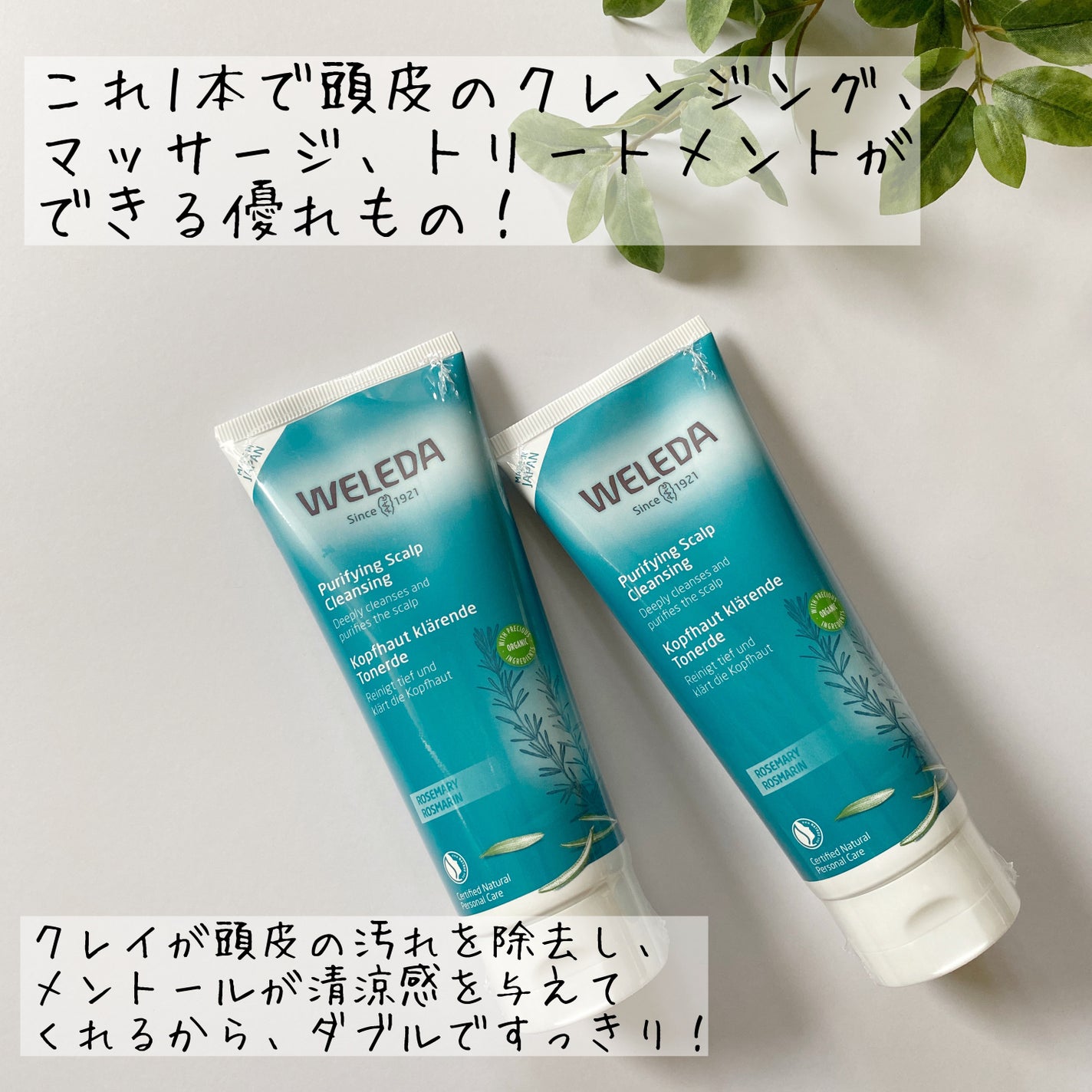 ローズマリー スカルプクレンジング/WELEDA/頭皮クレンジングを使ったクチコミ(3枚目)