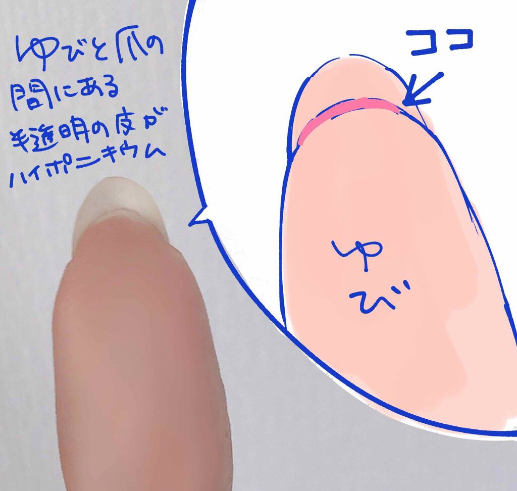 エテュセ クイックケアコート/ettusais/ネイルオイル・トリートメントを使ったクチコミ（2枚目）