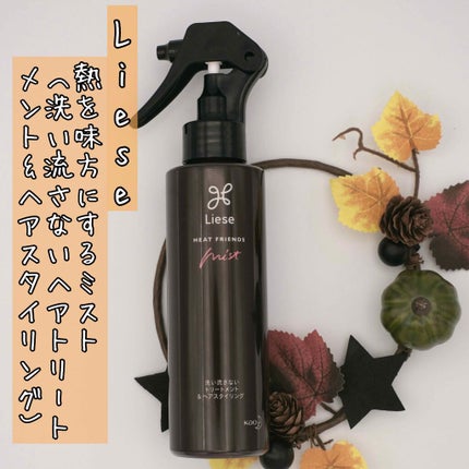 熱を味方にするミスト/リーゼ/ヘアミストを使ったクチコミ(1枚目)