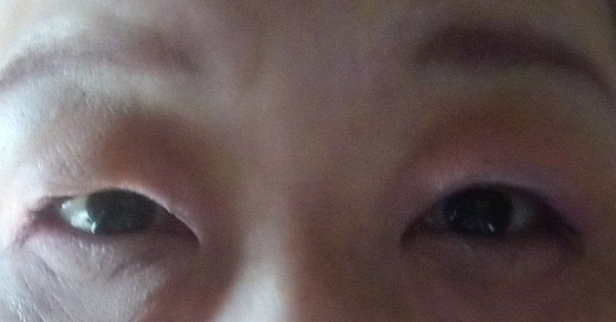 レトロマグネティック アイシャドウパレット/FlowerKnows/アイシャドウパレットを使ったクチコミ(2枚目)