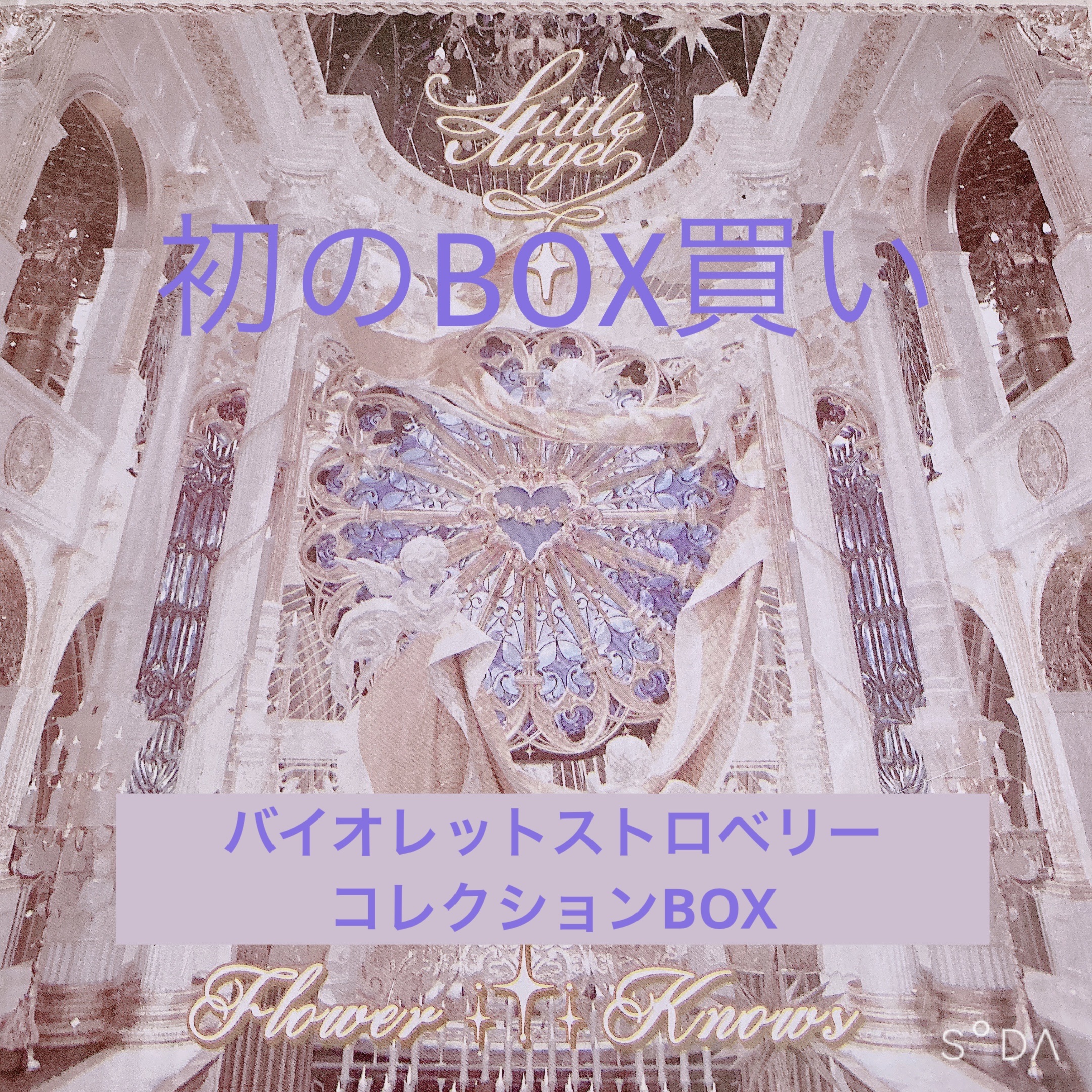 ストロベリーロココシリーズハンドミラー/FlowerKnows/その他を使ったクチコミ（1枚目）