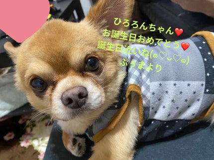 ランテルディ オーデパルファム/GIVENCHY/香水(レディース)を使ったクチコミ(9枚目)