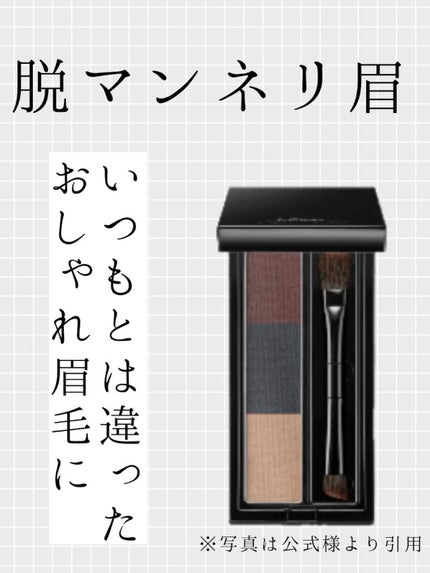 ヴィセ リシェ アイブロウパウダー/Visée/パウダーアイブロウを使ったクチコミ(1枚目)