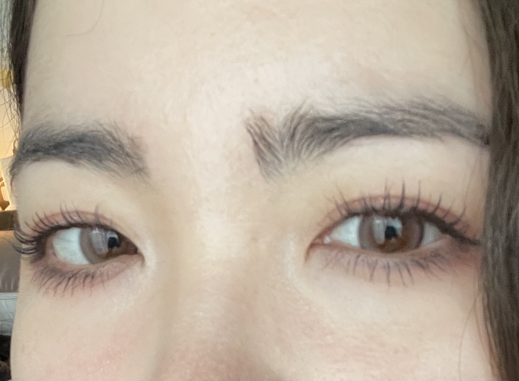 melotte 1day ダーリンフィグ/melotte/ワンデー（１DAY）カラコンを使ったクチコミ（1枚目）