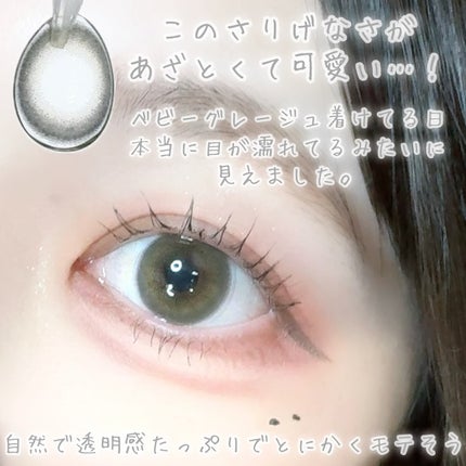 Cheritta 1day ベビーグレージュ(Baby Grege)/Cheritta/ワンデー(1DAY)カラコンの画像