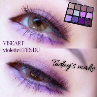 Violette ÉTENDU/VISEART/アイシャドウパレットを使ったクチコミ（1枚目）