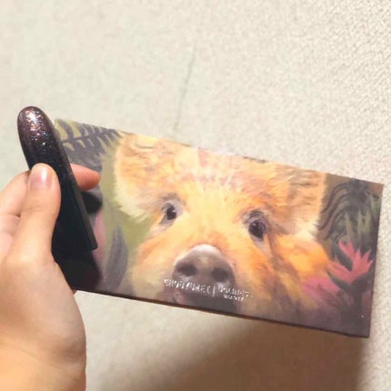 ケイト ザ アイカラー/KATE/単色アイシャドウを使ったクチコミ(2枚目)