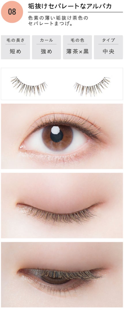 08 垢抜けセパレートなアルパカ