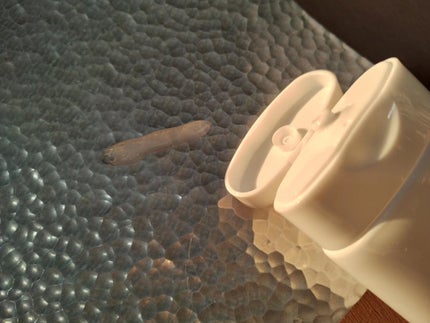 を使ったクチコミ(3枚目)