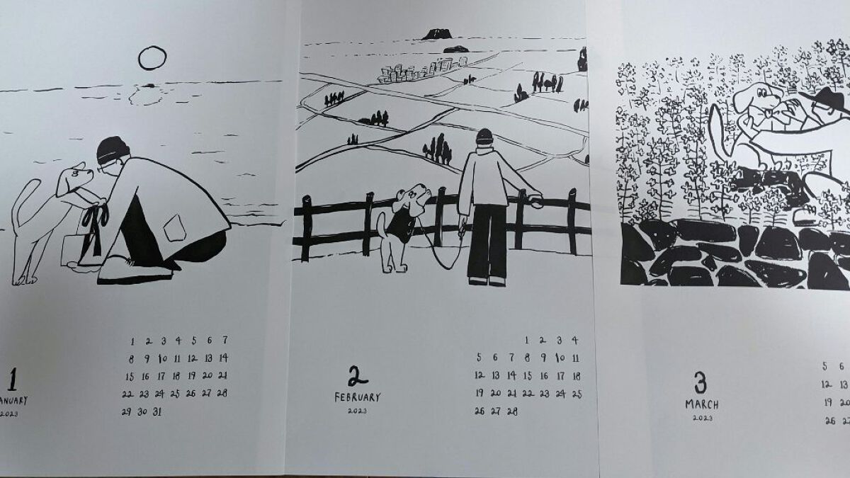 グリーンティーシードセラム 大容量160mlセット/innisfree/スキンケアキットを使ったクチコミ（3枚目）